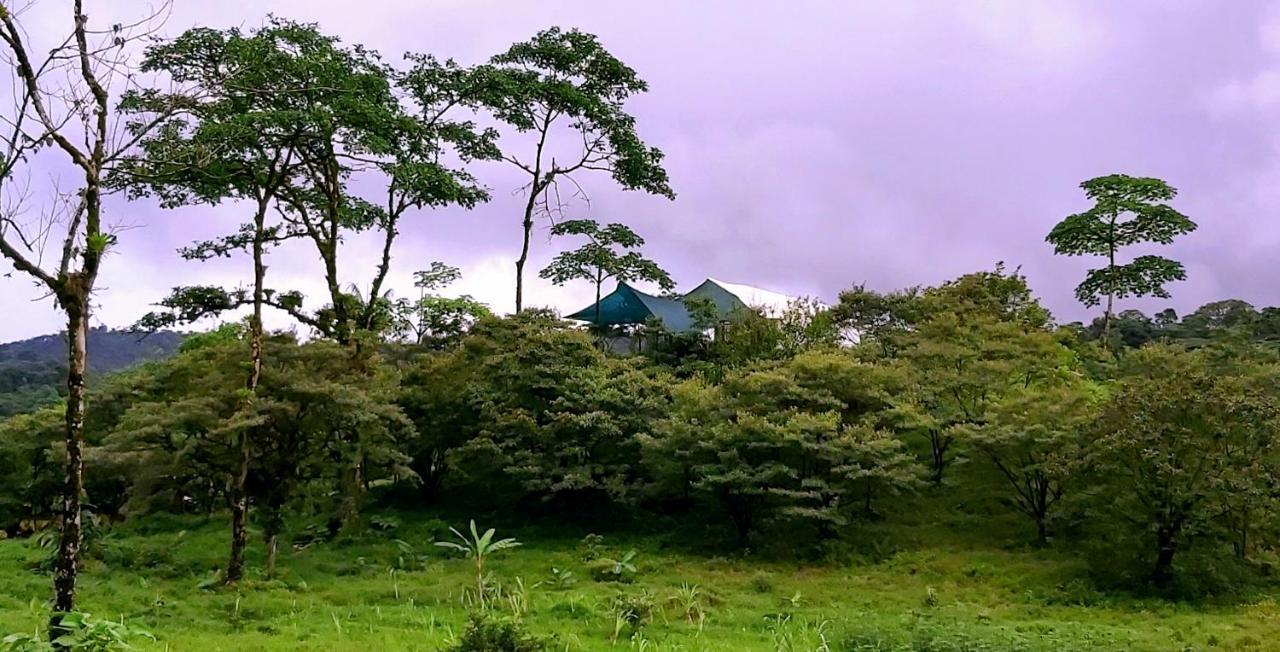 Garza del Sol Glamping Río Celeste Buganvilia Exterior foto