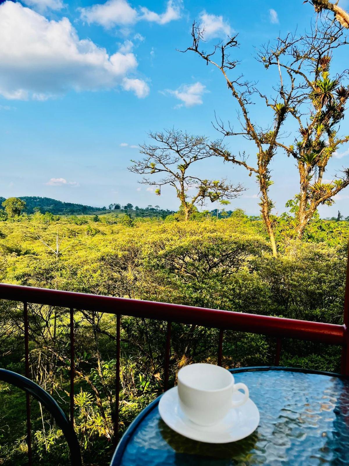 Garza del Sol Glamping Río Celeste Buganvilia Exterior foto
